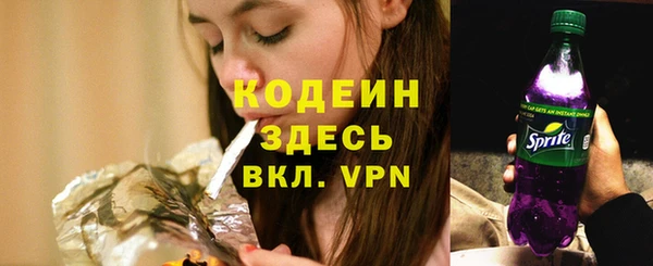 прущие грибы Мегион