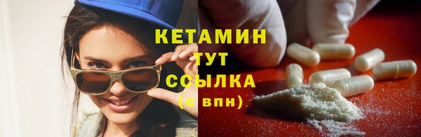 прущие грибы Мегион