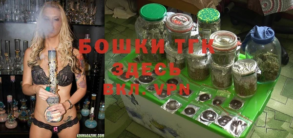 мдпв Михайлов