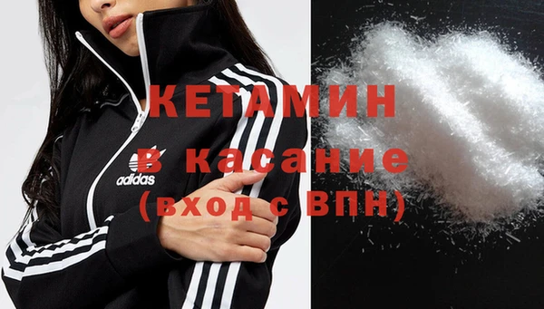 прущие грибы Мегион