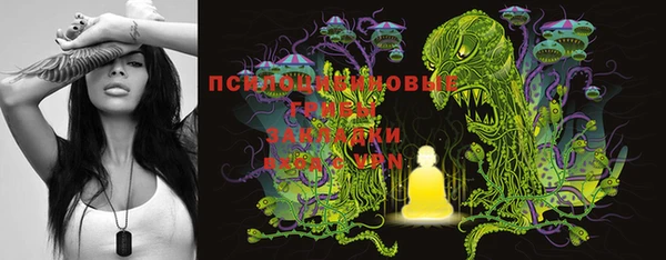 мдпв Михайлов