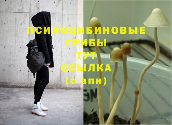 мяу мяу кристалл Медногорск