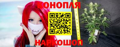 apvp Донской