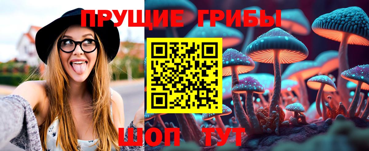 Псилоцибиновые грибы GOLDEN TEACHER  Вход с VPN  Канск  Псилоцибиновые грибы Psilocybe 