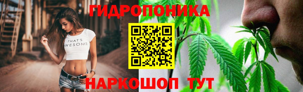Бошки Шишки семена  Вход с VPN  Канск  Марихуана VHQ 